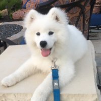 Hunter (@huntermctwitta) 's Twitter Profile