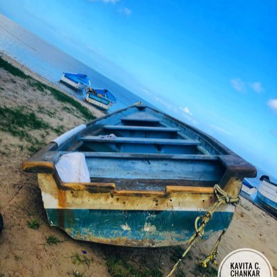 kavita_78's profile picture. Living La Vida Loca. Tweets are my own. Retweets are not endorsements.