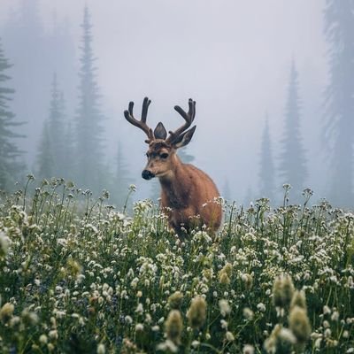 vineettrazdan's profile picture. 