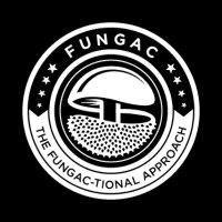 Fungac(@Fungactional) 's Twitter Profile Photo