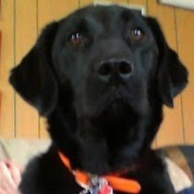 samanth51837282's profile picture. 