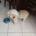 Efrain Campos - @EfrainC43694059 - Twitter