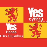 YesHanes (@yes_hanes) 's Twitter Profile Photo