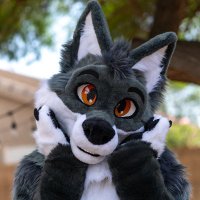 Closetfox (@thatclosetfox) 's Twitter Profile