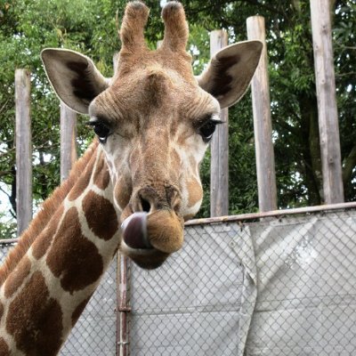 kafoo09's profile picture. 