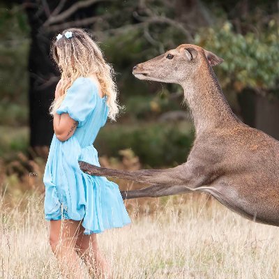 DeerRichmond's profile picture. Observations, amusements, and questions about the wonderful London Borough of Richmond upon Thames