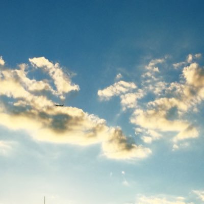 hal_9a's profile picture. MUSICが始まったようだ