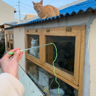 VBphJTVkMUEQtgP's profile picture. 