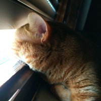 Jessica (@jessicaredodin) 's Twitter Profile