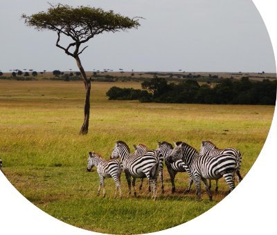NrmUf's profile picture. UF working group dedicated to interdisciplinary research that addresses pressing issues of natural resource management & sustainable livelihoods in Africa.