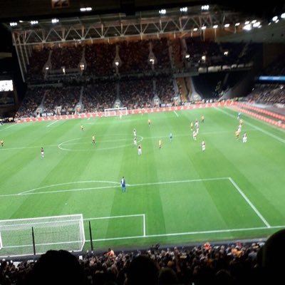 harveywestwood0's profile picture. wwfc