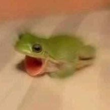 Bruhperson6's profile picture. Trading and giveaways account