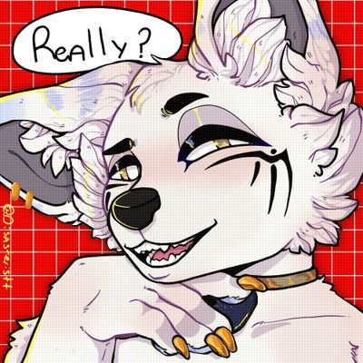 ᴋᴏᴜ ᴋɪᴋᴀɪ—さんのプロフィール画像