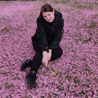 Avant Garden (@_avantgarden_) 's Twitter Profile