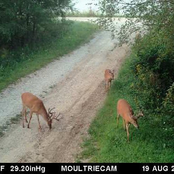 robertbigbuck's profile picture. 