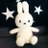 アメオンナのアイコン