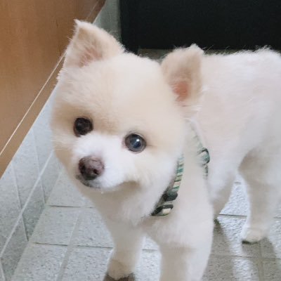 teru_tel_rrr's profile picture. 