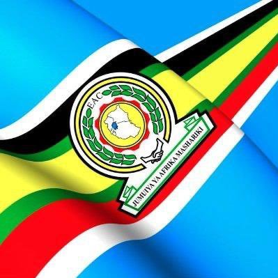 Official Account of the East African Youth Parliament -VijanaAssembly Institutionalised by @EA_Bunge & Coordinated by @FarajaAfricaFdn for Cross-Border Advocacy