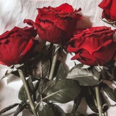 youare0o's profile picture. 