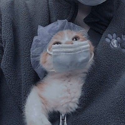 Eileithyay's profile picture. Dunno.