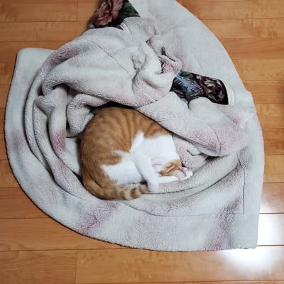 LirDS1sESMJIp2Z's profile picture. 