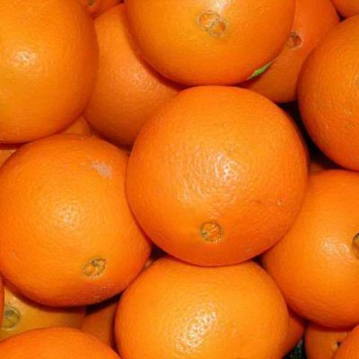 Orangesさんのプロフィール画像