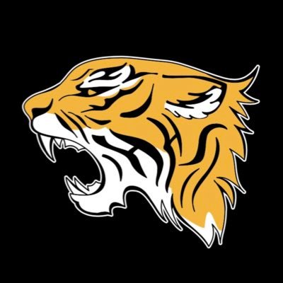 HHS_ladytigers Profile Picture