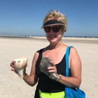 Anne Rees (@seashellsforme) 's Twitter Profile