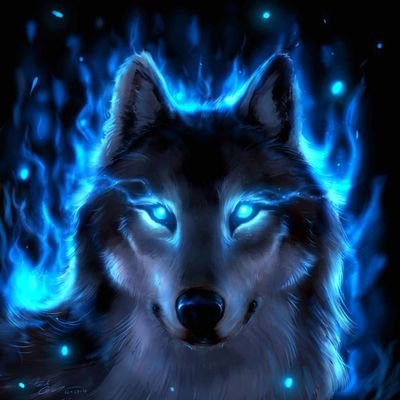 knytW0LF's profile picture. Offensive Cybersecurity | Blockchain Security | Web3.0 | NFT Games | Dapps | DAO |Investor |  Consultant | Technopreneur |