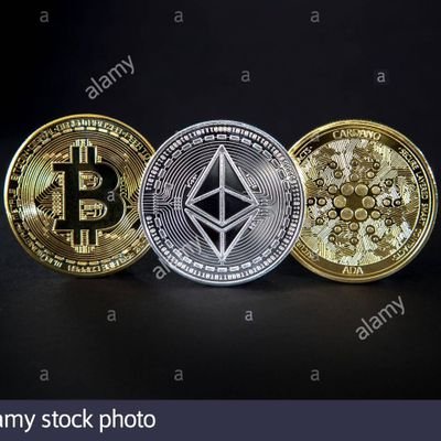 Cryptofever23 Profile Picture