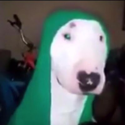 MccallHitt's profile picture. 