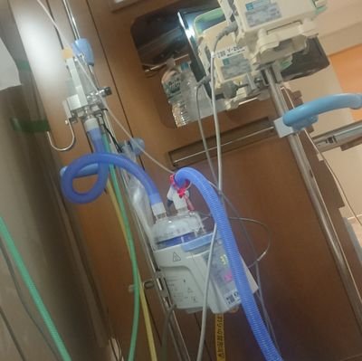 某ビルの8階から某ビルの6階に居を移しかけている4○とか名前がついてる所にはほとんど手を出している康の養分配給係。でも趣味はスポーツ観戦 Pさまのフォロー大歓迎