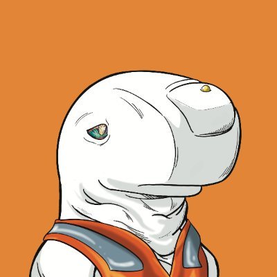 0xjeffs's profile picture. alum @ubc @usc