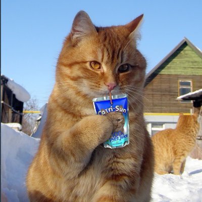 Alpha9571_00's profile picture. hi