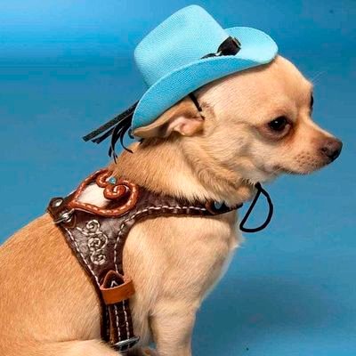 drbitchcr4ft_'s profile picture. don't refer to me.
Colorado born and raised.
27.
enby mixed Black person.
they/them
opinions are my own.