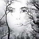 Deb Stone - @Otwngirl - Twitter