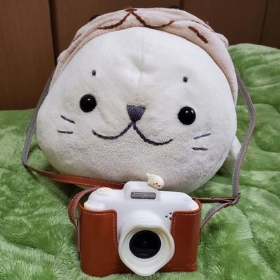 Mの面さんのプロフィール画像