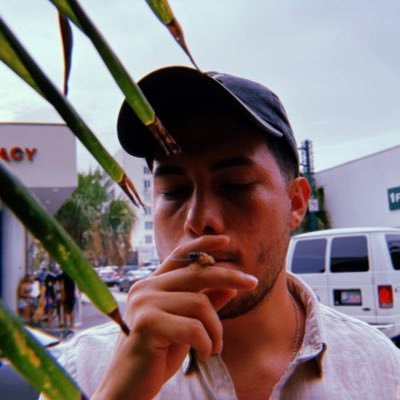 shitfaustosays's profile picture. 