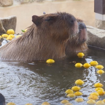 気儘にまんまんのことをツイートしてま〜す📲YouTubeもやってます♪💻🎥生息地→日本🇯🇵🎌趣味→まんまん(i)性別👤&年齢👥→不詳❓ツイート不定期🥺🙃