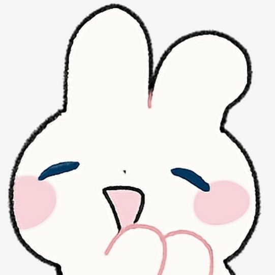 funnybunnytoes Profile Picture