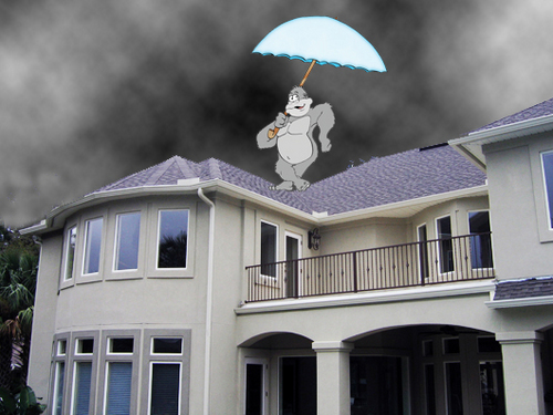 BerkeleyGutters's profile picture. Berkeley Gutters is a full service rain gutter company servicing the entire east bay area. From gutter cleaning to gutter repair give Gorilla Gutters a call!