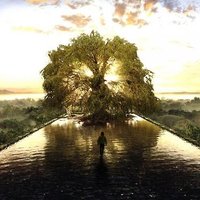 Reshad Karimov (@reshadk) 's Twitter Profile Photo