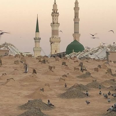 ‏‏‏‏« صديقٌ تؤلمك نصيحته، خيرٌ من مُجاملٍ يَهوي بك في النار »

- الشيخ خالد الحداد