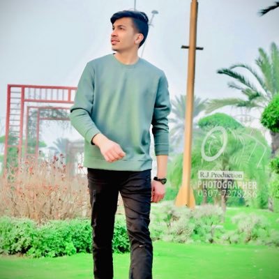 Ahmadra43744341's profile picture. As an Entrepreneur, you will work out a business plan and raise money to finance your company.