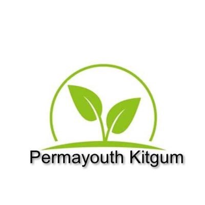 Permayouthskitgum.org Profile