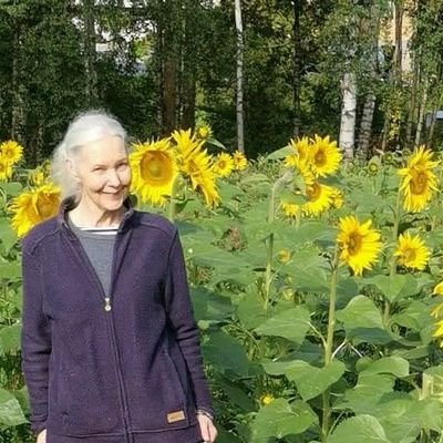 liisailonahein1's profile picture. Korona ei ole ohi. Lapsista ja vanhuksista huolestunut mummi. Seuraan viimeisintä tietoa koronapandemiasta ja sodasta. 💛💙 Vihreä siirtymä on yhteinen haaste.