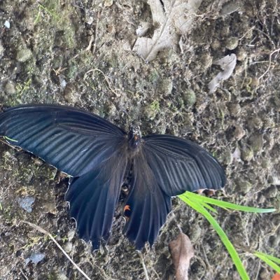 WfTaKriHplPGws's profile picture. 即色是空　04