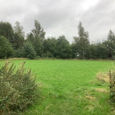 Woodland and Wildflower Meadow