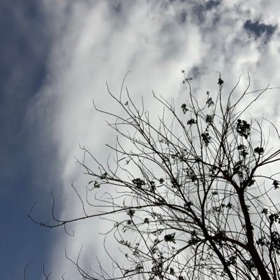 mais_ak1's profile picture. 