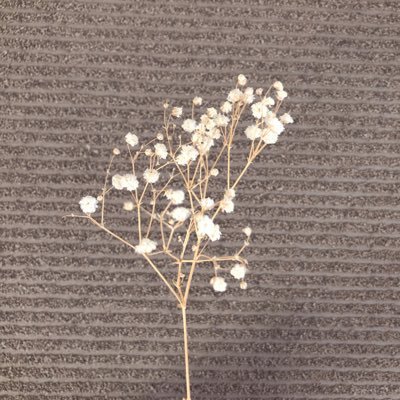 ffさんだけ❕⌇年少2021.11+2026.1予定 ⌇フルタイム社畜⌇事務所のおたく໒꒰ྀི 〟˃ ᵕ ˂〟 ꒱ྀི১💖